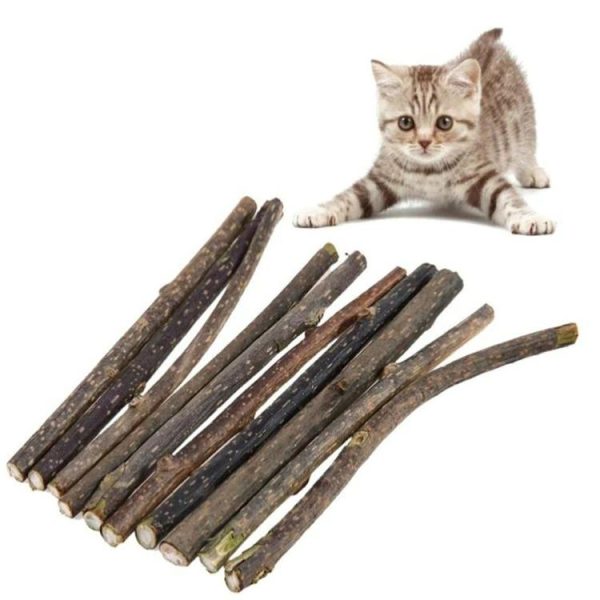 Natural Matatabi Catnip Cat Snacks Sticks - Image 2