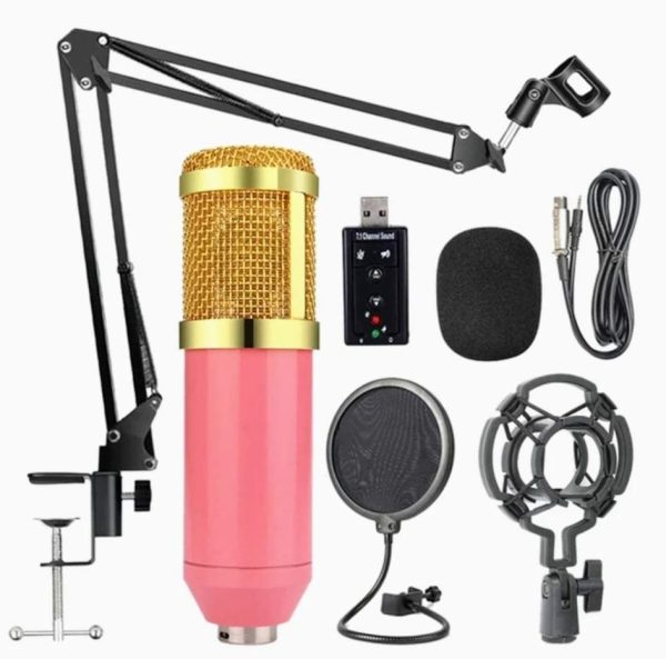 Professional Condenser Microphone Set - Image 2