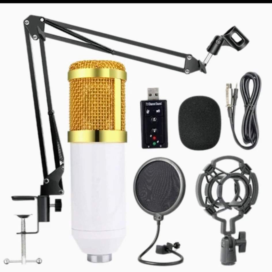 Professional Condenser Microphone Set