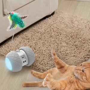 118792097_1710721172430075_7286501610025692238_n Electronic Pet Cat Toy