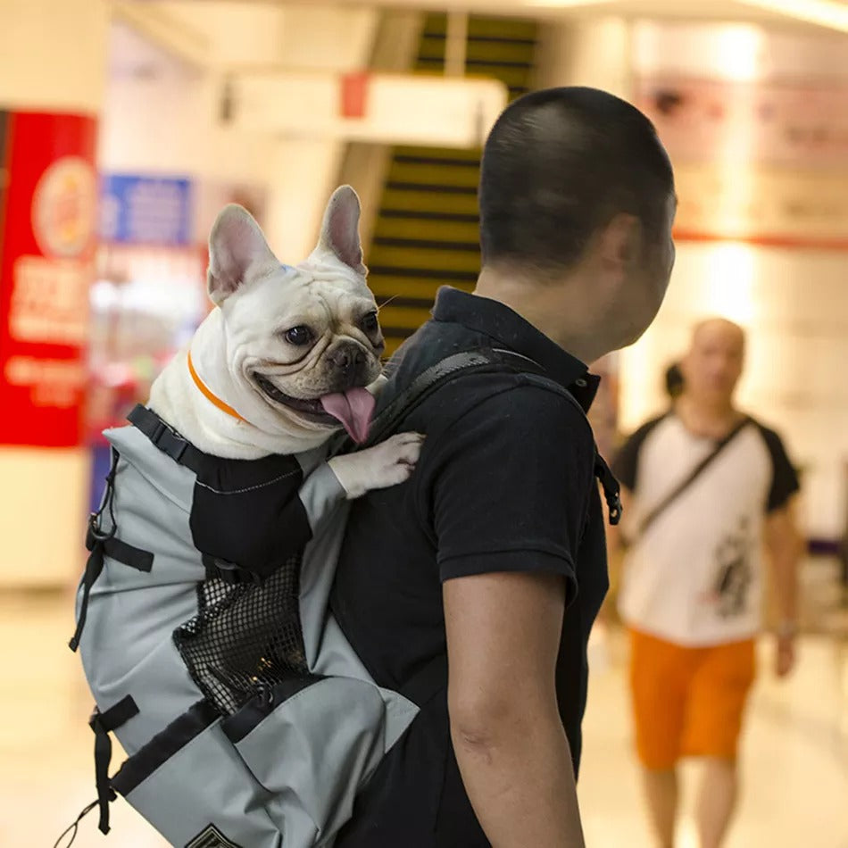 Pet Carrier Backpack