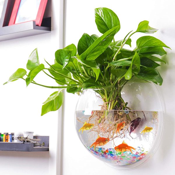 Acrylic Hanging Aquarium - Image 3