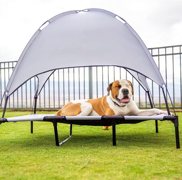 2022 NEW Luxury Elevated Dog Bed With Canopy - Image 3