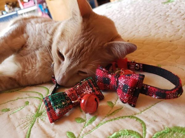 Christmas Pet Collar - Image 3