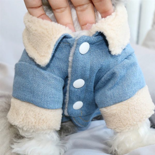 Warm Puppy Denim Jacket - Image 5