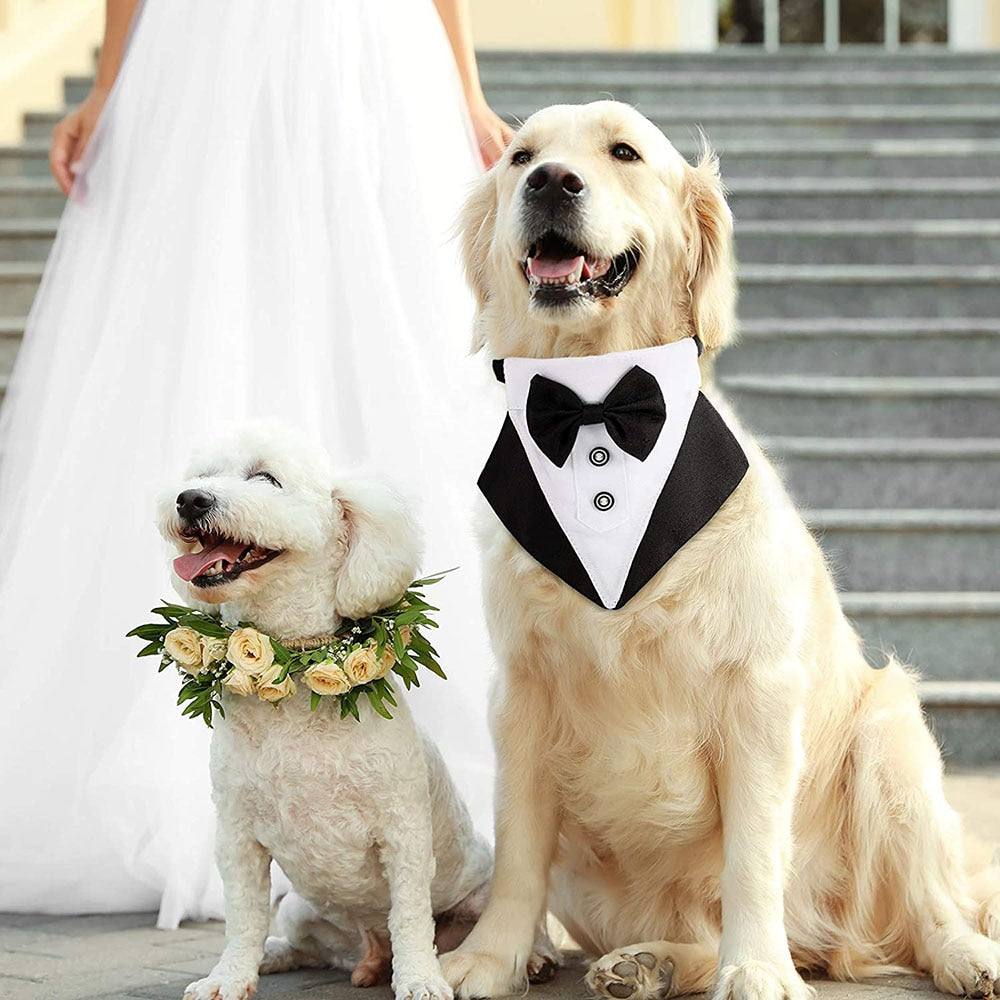Dog Tuxedo Bandana Collar