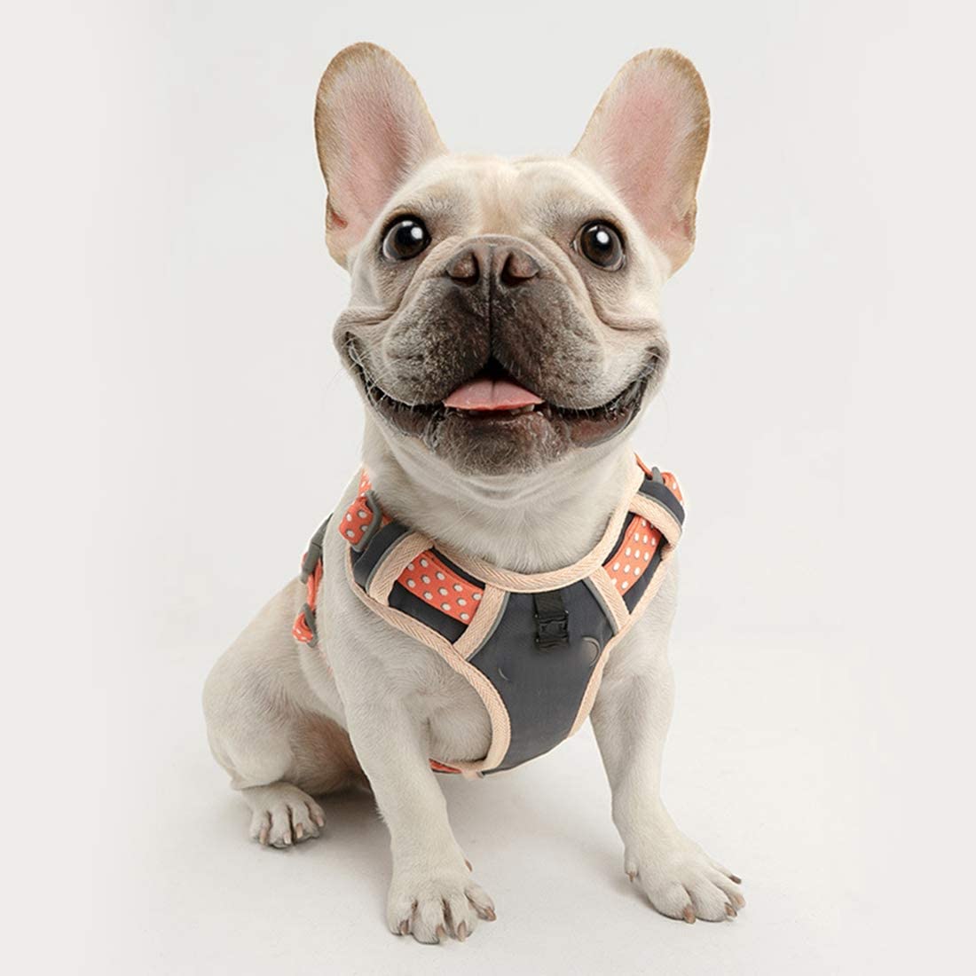 13_9584fcfc-0cbf-4559-8153-3acc91e20c7a Comfortable French Bulldog Harness With Leash