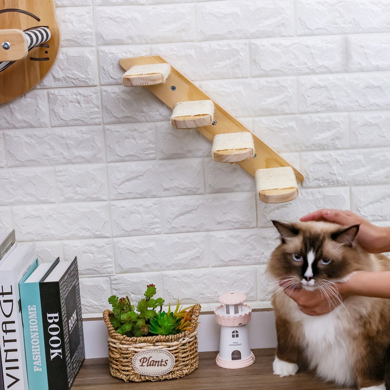 14_282b4644-d634-4749-944e-99e343209396 Cat Hammock With Stairway
