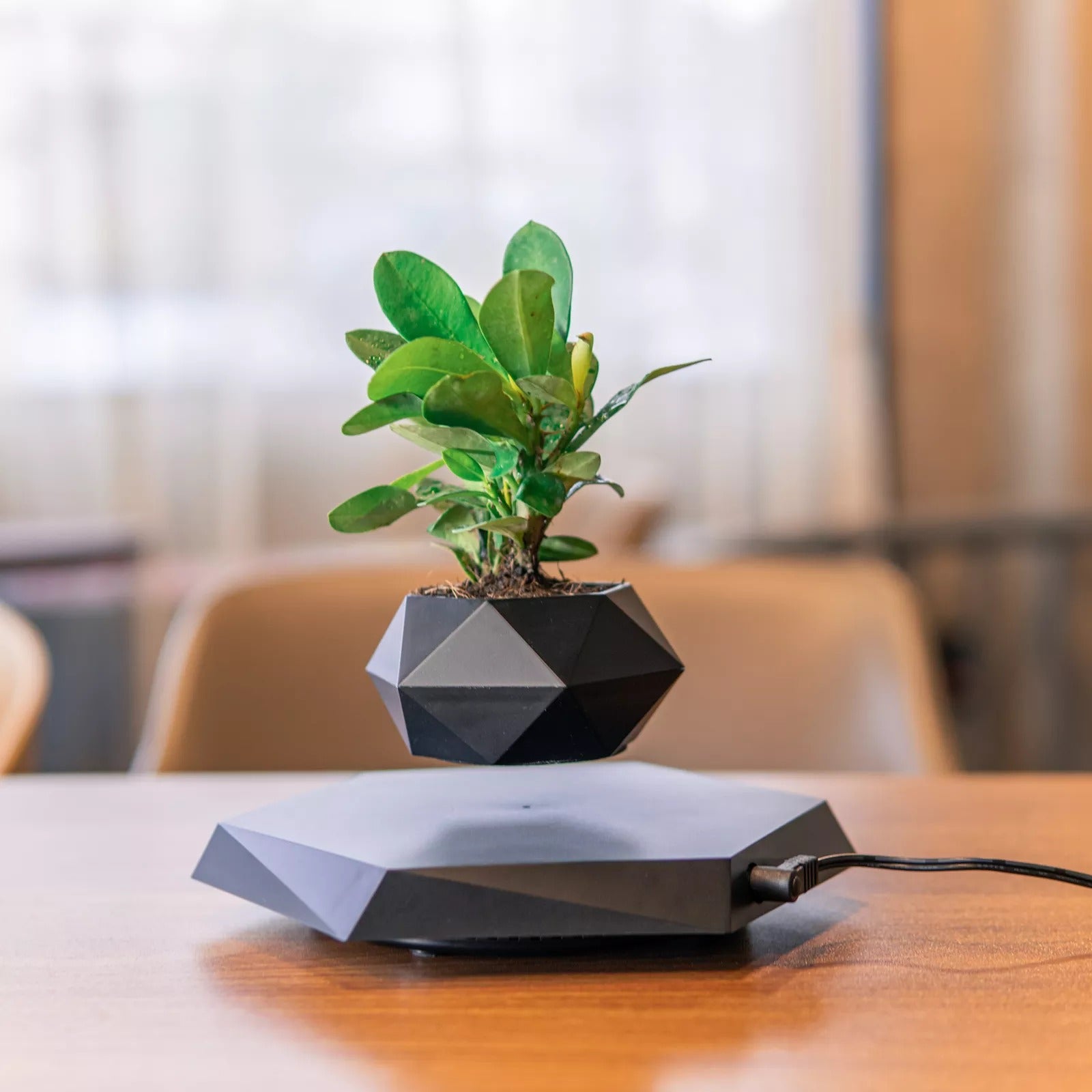 Magnetic Levitation Flower Pot