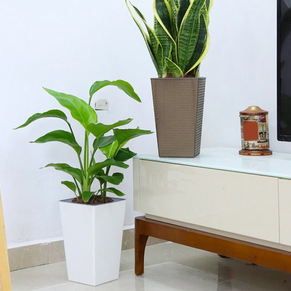 Brick Pattern Water Storage Pot - Image 4