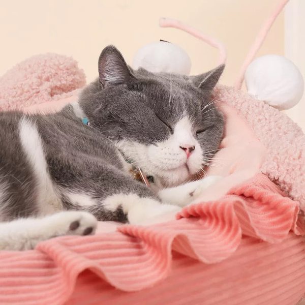 Lobster Pet Bed - Image 2