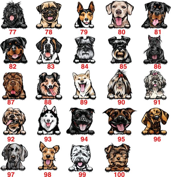 Personalized Dog Doormat - Image 5