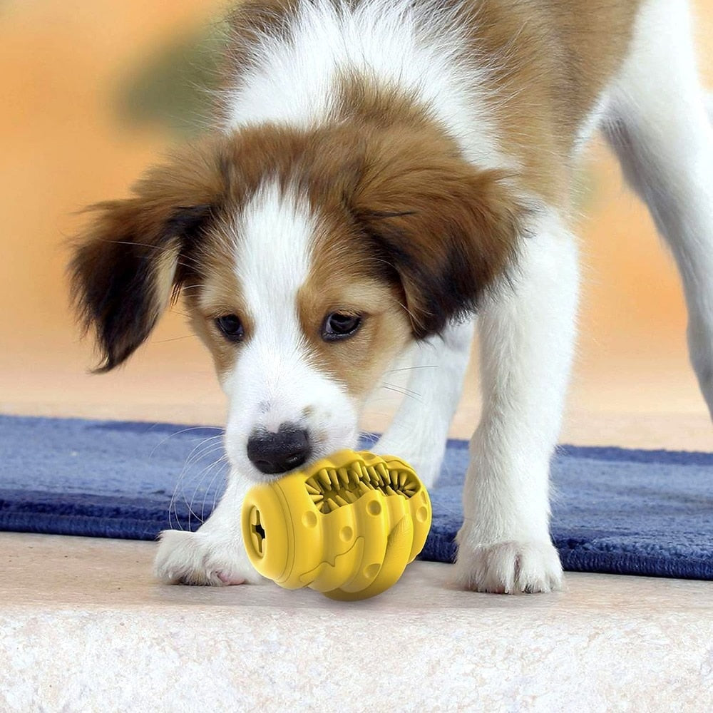 17_48351e73-b335-4ad1-a2cd-61558a96e7d1 2023 NEW Dog Treat Dispenser Interactive Toy