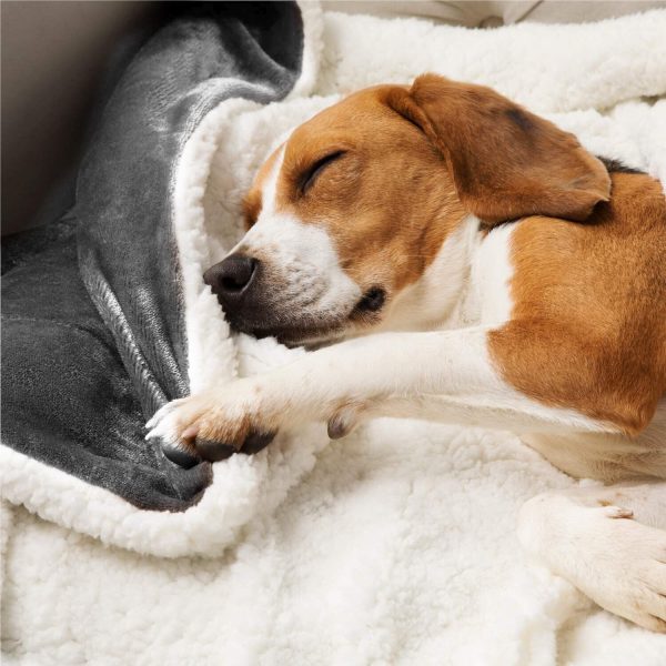 Cozy Reversible Dog Blanket - Image 3