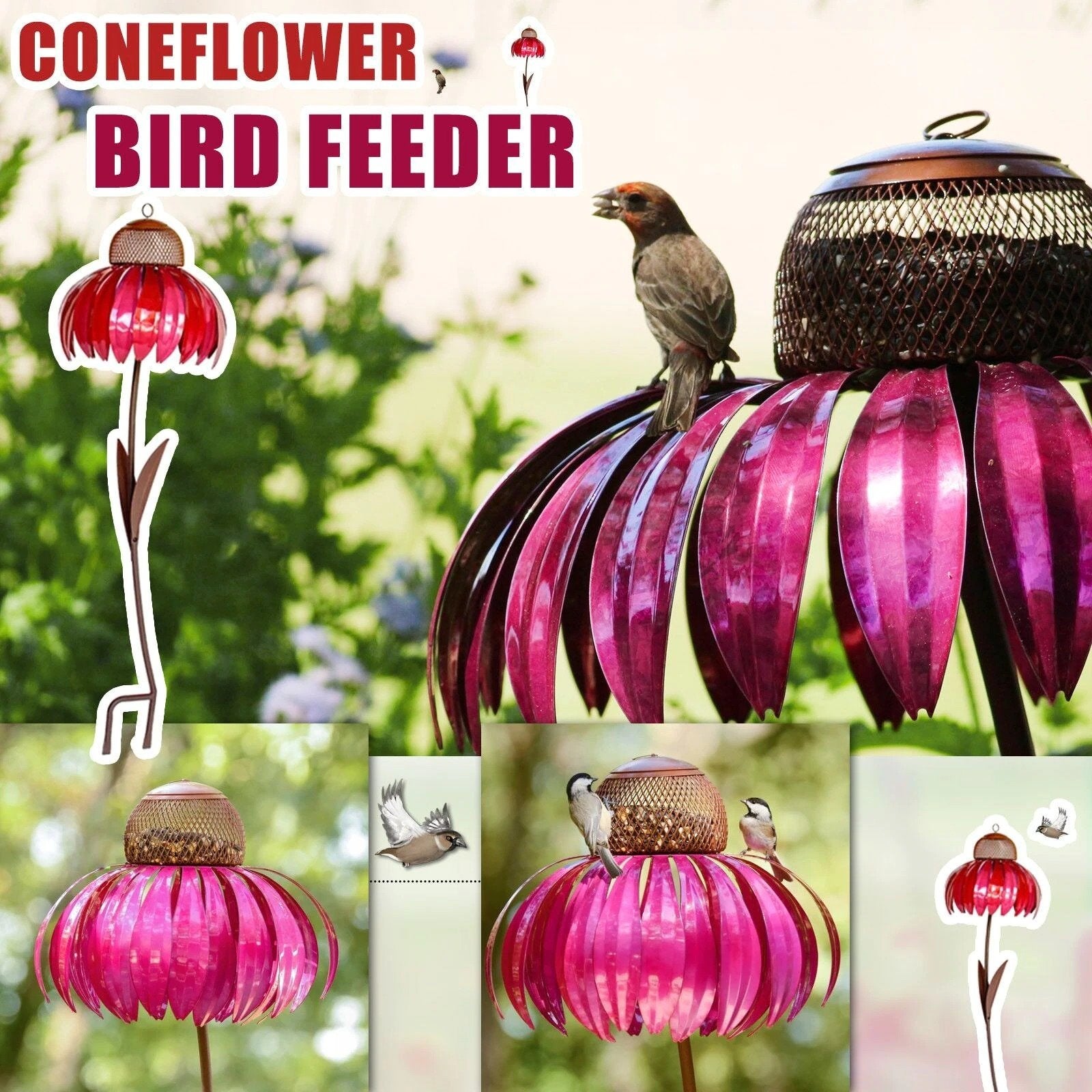 Coneflower Bird Feeder