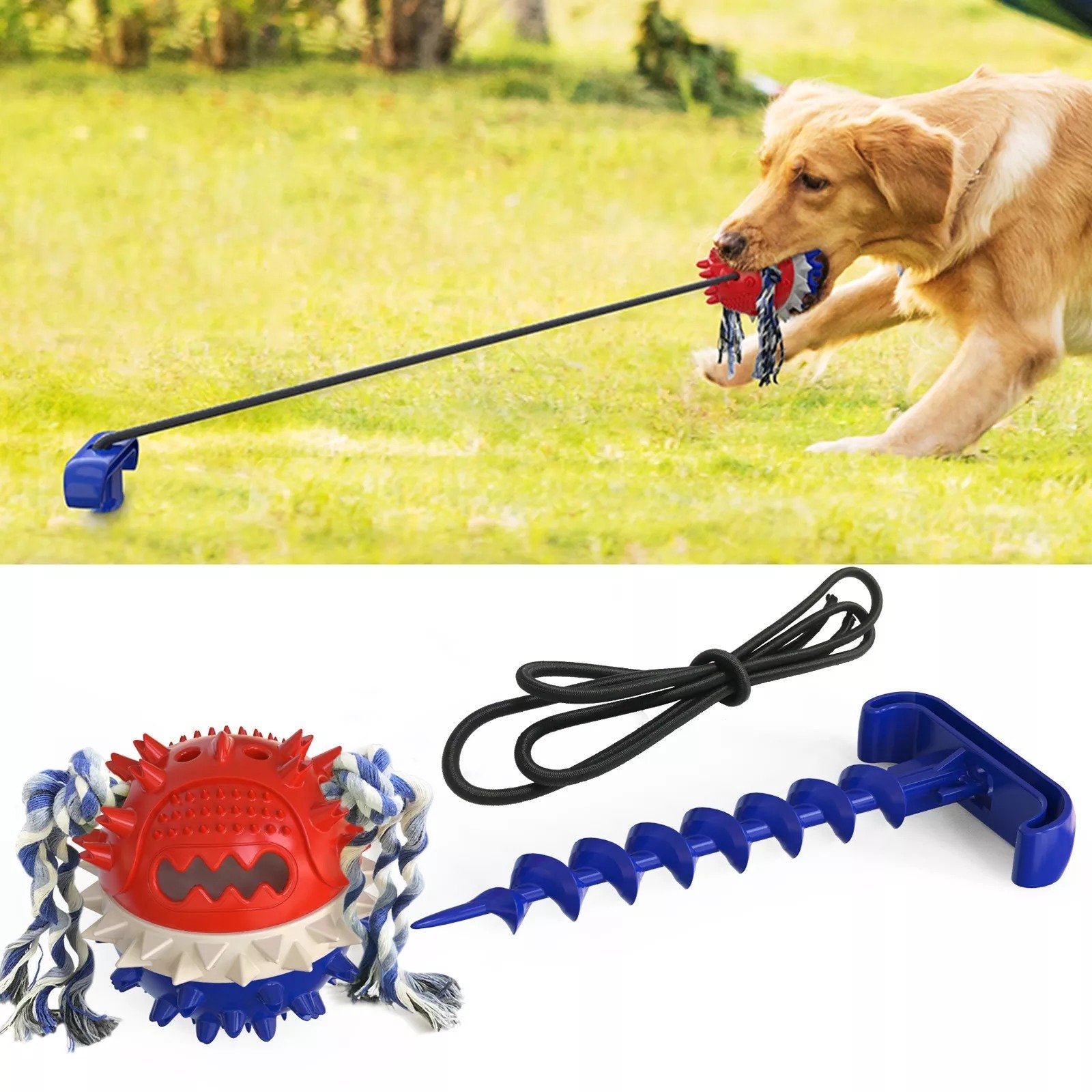 Dog Outdoor Training Toy