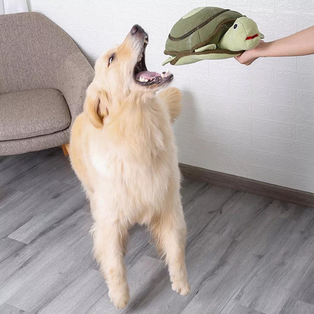 Dog Sniffing Turtle Toy