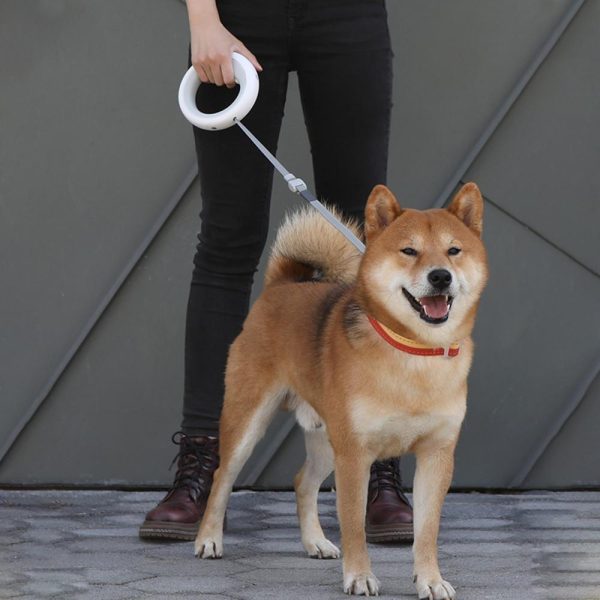 Magic LED Pet Leash - Image 3