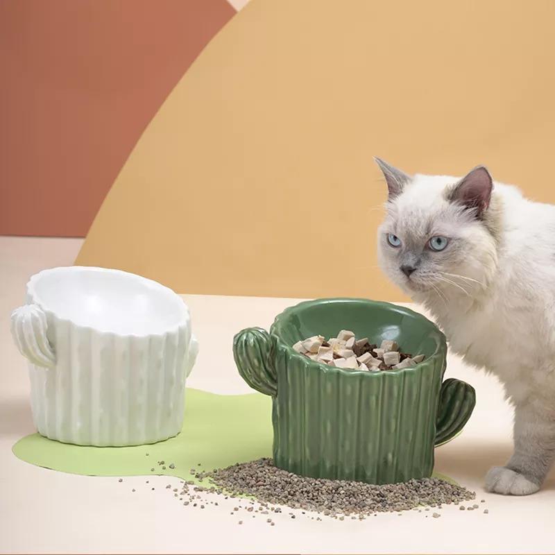 1_6d93b239-82a2-4a43-b0b7-98ce836f1b37 Cute Cactus Cat Bowl