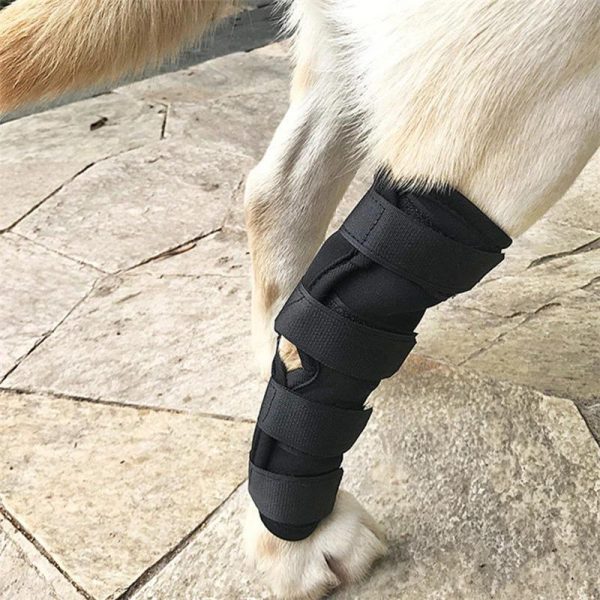 Dog Knee Pads Protector - Image 2