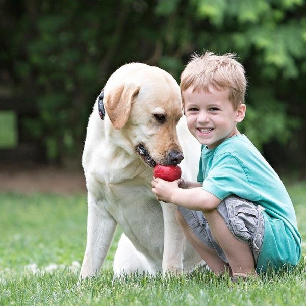 Dog Chew Toy - Image 3