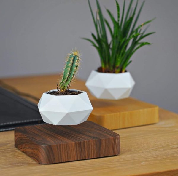 Levitating Plant Pot - Image 7