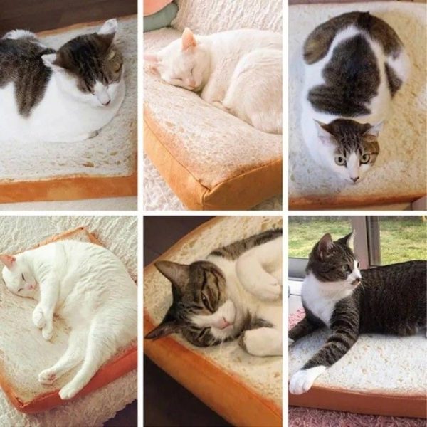 Funny Bread Pet Cushion - Image 2