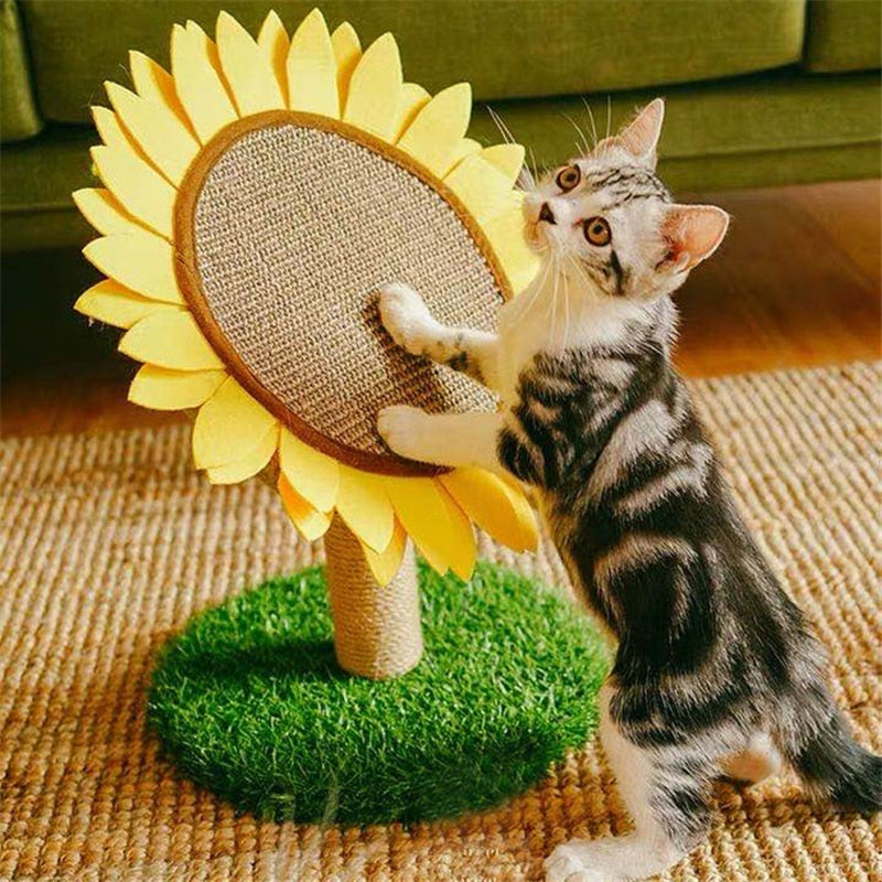 24_8160b2de-18b3-4072-899b-cbf964e929c9 Sunflower Cat Scratch Board
