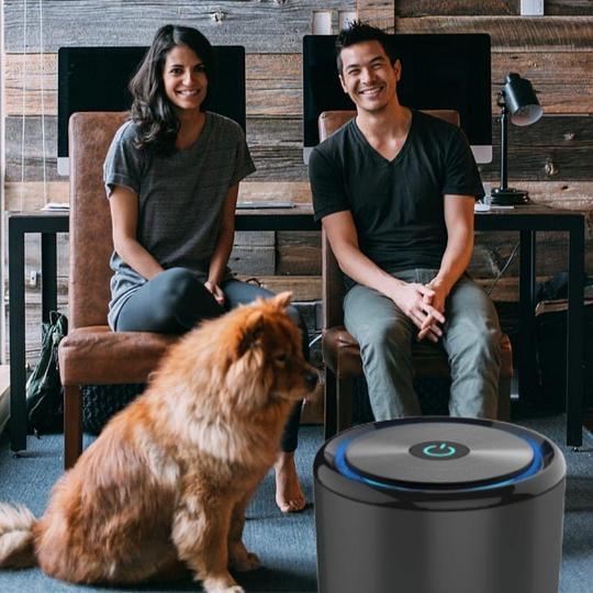 Ionic Air Purifier