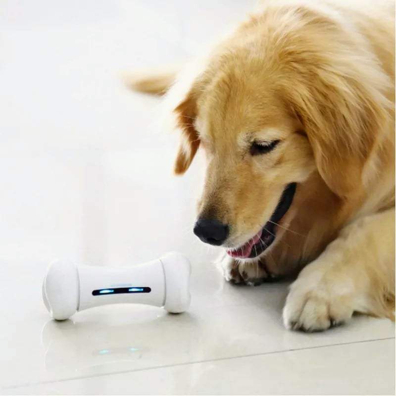 Phone Controlled Electric Pet Toy