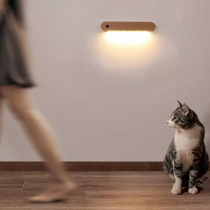 Magnetic Wall Key Holder With Light