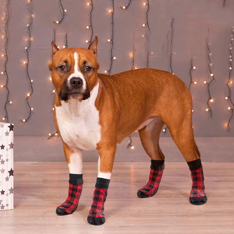 Christmas Plaid Dog Socks