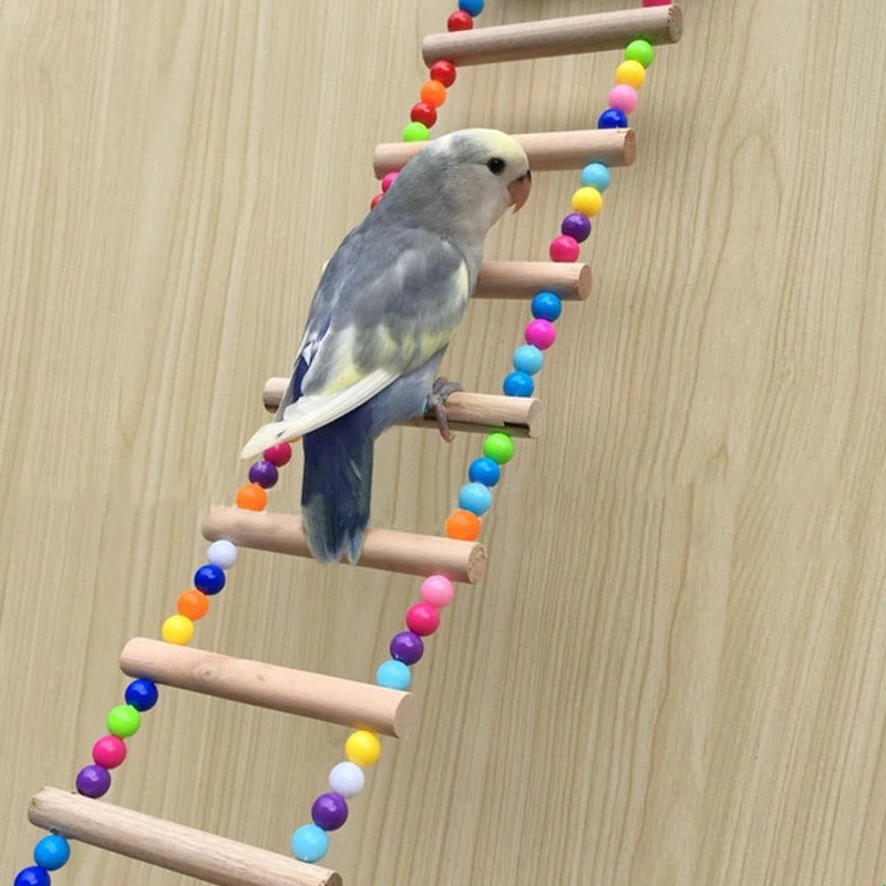 Parrots Ladders Climbing Toy