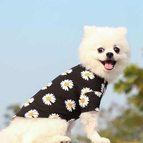 2022 NEW Summer Fashion Cat Dog Daisy Pattern T-Shirt - Image 3