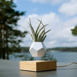2_d09e4cf0-7c22-49db-9587-15e0817d40d7 Levitating Plant Pot