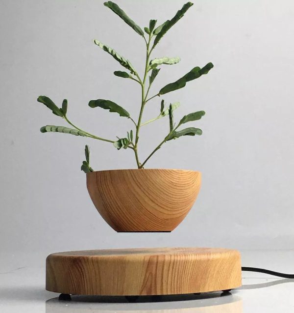 NEW 2022 Magnetic Levitation Plant Pot - Image 9