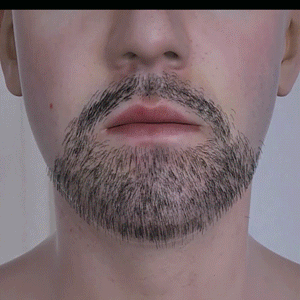 33 Pocket Size Washable Electric Razor