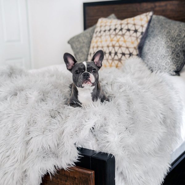 Luxury Winter Pad For Pets - Image 2