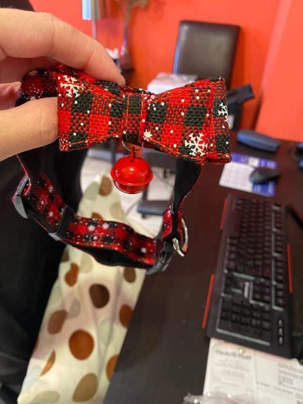 Christmas Pet Collar - Image 6
