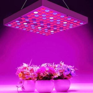 Full Spectrum Grow Light For Plants