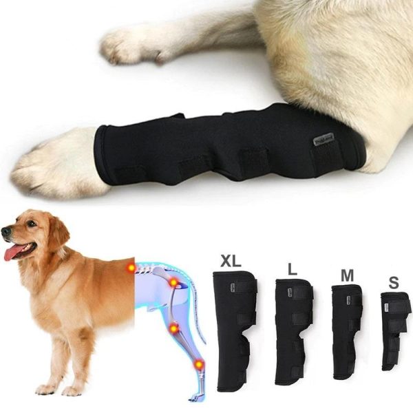 Dog Knee Pads Protector - Image 4