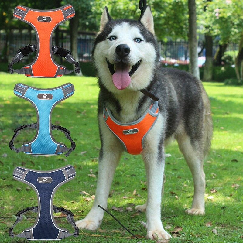 3_54d2f475-3ff6-4744-9e2d-e6665f498c63 Adjustable Reflective Dog Harness Vest