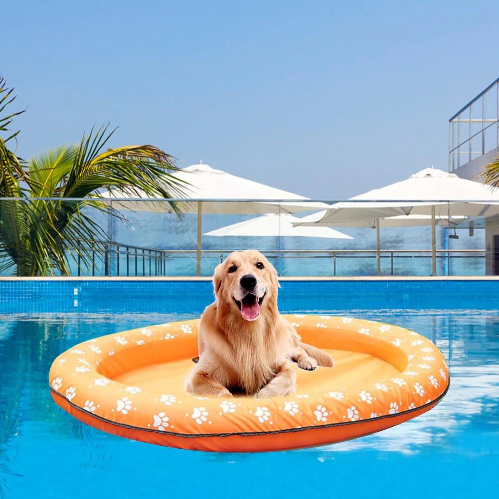 Pool Mattress For Dog