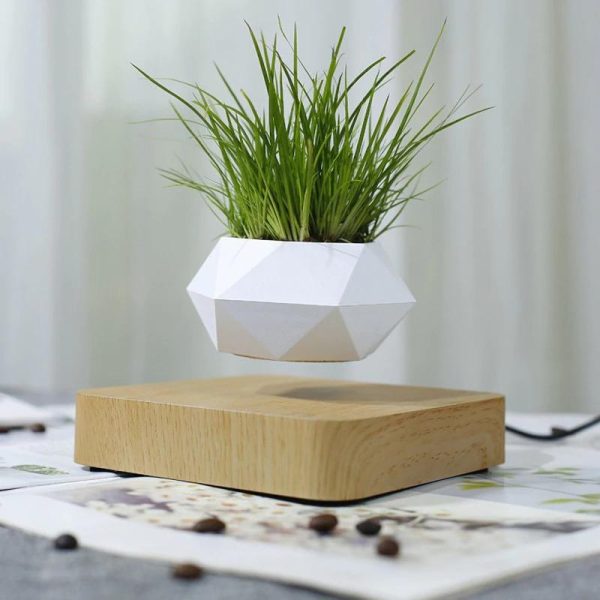 Levitating Plant Pot - Image 3