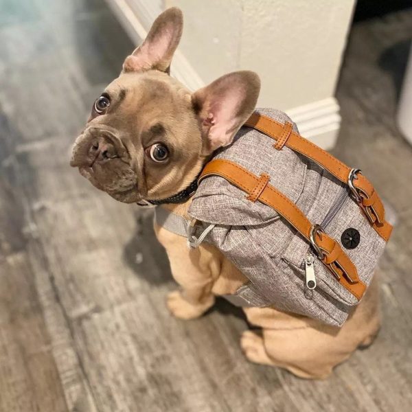 Casual Dog Travel Backpack - Image 2