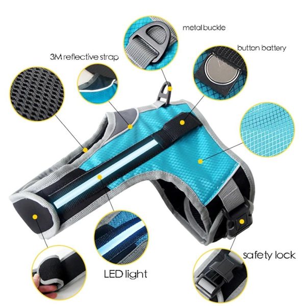 Safety LED Dog Harness - Image 5