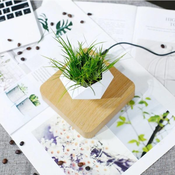 Levitating Plant Pot - Image 6