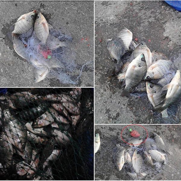 Portable Fishing Net Trap - Image 5