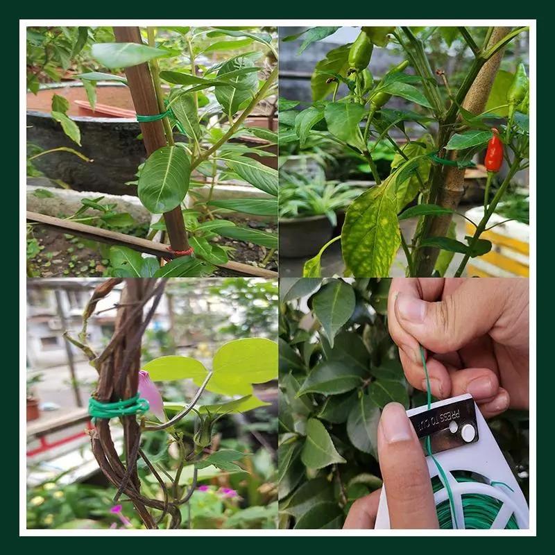 Plant Fixed Rope