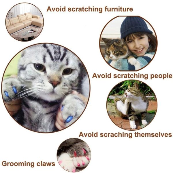 Cat Nail Protector Caps - Image 7